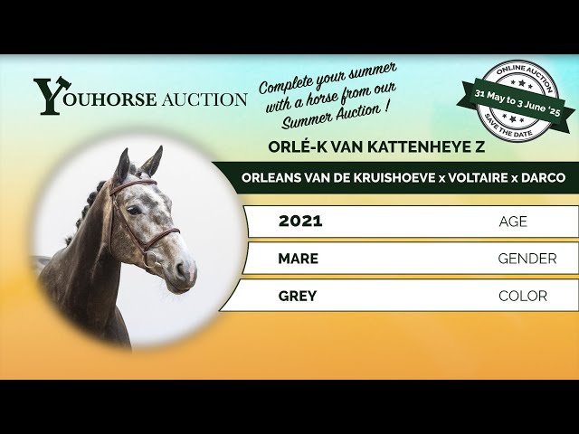 Orlé-K van Kattenheye Z