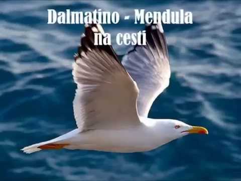 Dalmatino - Mendula na cesti