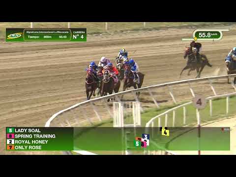 C501 | Only Rose | La Rinconada International Racecourse | Meeting 45 | 2025