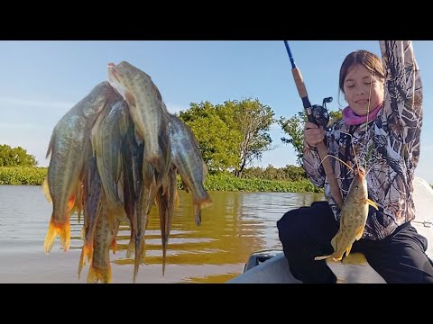 Pesca en tan solo medio día,sauce viejo (santa fé)..