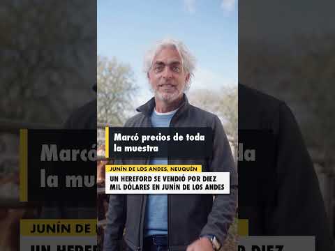 ¿Por qué un toro se vendió por diez mil dólares en Neuquén?