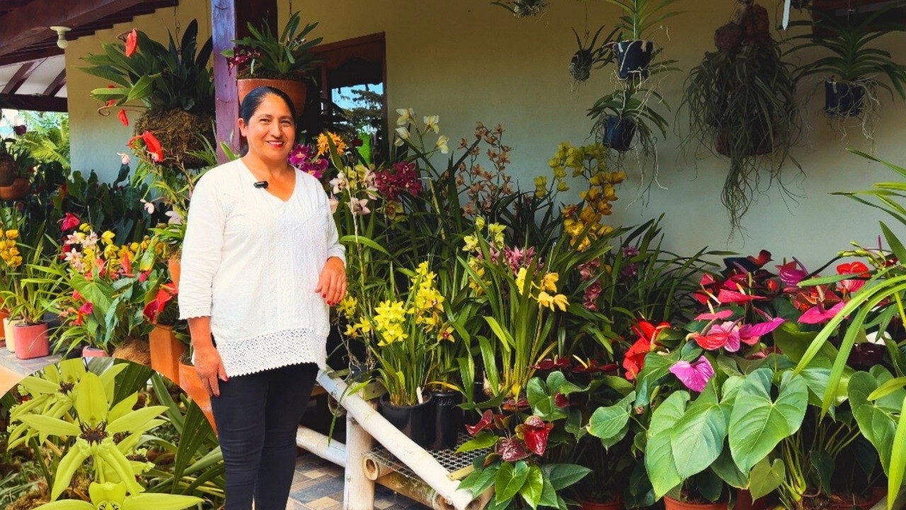 I survived the BEAUTY of this GARDEN, this is how Rocío drives you crazy with her PLANTS! |AP