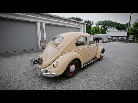 1954 Volkswagen Beetle (CC-1752667) for sale in Wayne, Pennsylvania