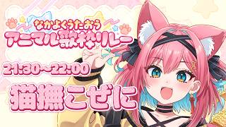 【#なかよくうたおうアニマル歌枠リレー】ギター弾き語りとカラオケで、アニマルなパンクロックを歌うぞ～い！【猫撫こぜに｜ぶいぱい｜アップランド｜VTuber】