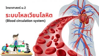 ระบบไหลเวียนโลหิต