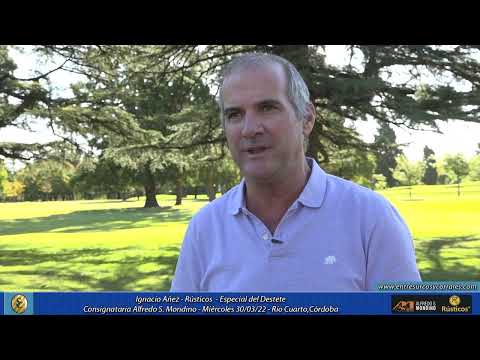 30 03 22 - Ignacio Añez - Rústicos - Especial del Destete – Río Cuarto,Córdoba