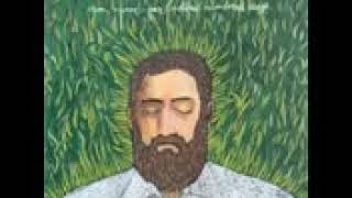 Iron and Wine   Love and Some Verses