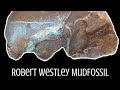 Mud Fossil Evidence RW is live! Let's try to figure it out!