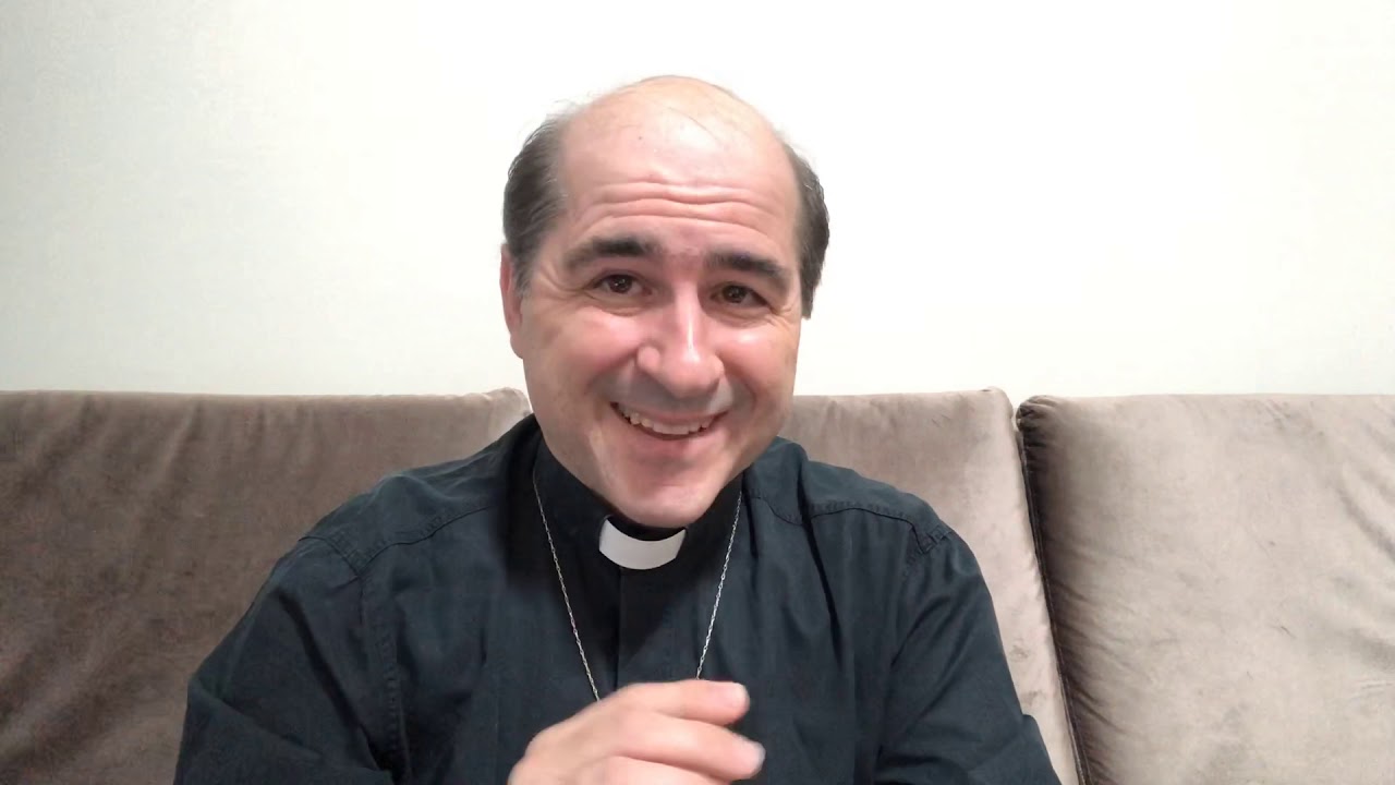 O que é um Sínodo?