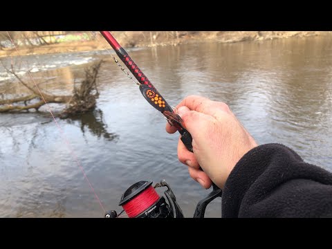 WORLD CLASS BROWN TROUT FISHING in BROWN TOWN