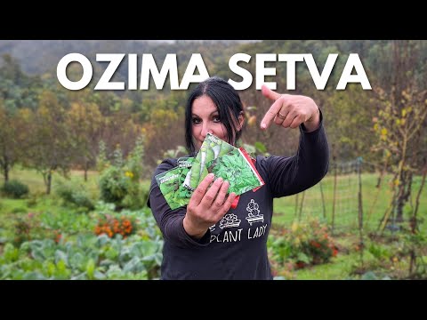 Winter SOWING Peas, Spinach, Onions, Lettuce, Arugula (GIFT Bed Analysis)