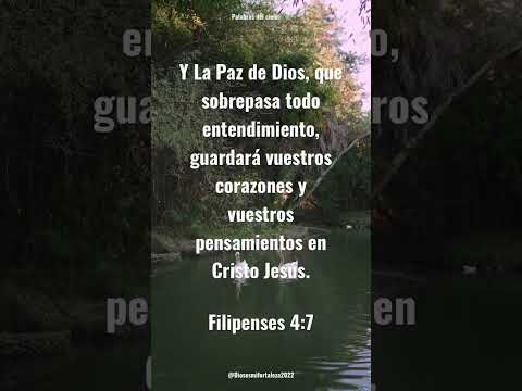 Filipenses 4:7, La Paz de Dios guarde tu corazón siempre