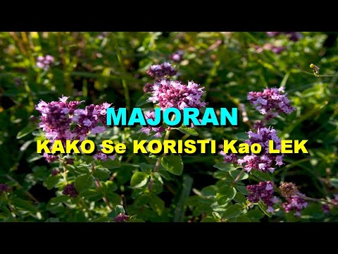 MAJORAN - KAKO Se KORISTI Kao LEK