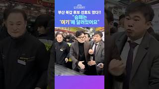 [뉴스트라다무스] 하정우 31%vs한동훈 26%vs박민식 21%vs이영풍 5% 부산 북갑 처기 국회의원 적합도 떴다!! 정혁진, 승패는 '여기'에 달려있다 #shorts