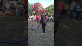 Download lagu aksi anak kecil bermain pecut besar jaranan Condro Kusumo #shorts mp3