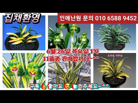 유튜브 썸네일