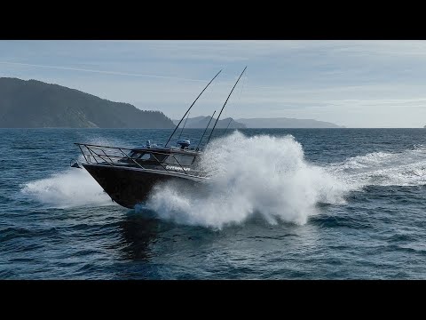 White Pointer Boats