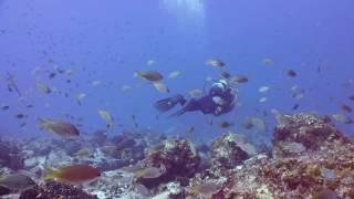 Diving with Dive Tribe Sao Vicente Cape Verde