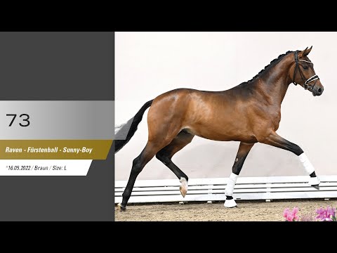 73 Hengst v Raven - Fürstenball