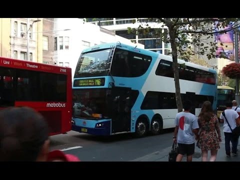 Bustech CDi - Hillsbus