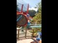 The Boys At Busch Gardens Sesame Street Land