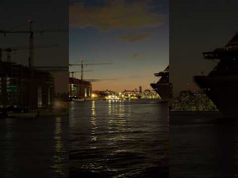 Thumbnail for MSC Divina 🛳️ #like #share #subscribe #shortvideo #shortsvideo #comment #shorts #youtubeshorts #fun