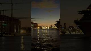 MSC Divina 🛳️ #like #share #subscribe #shortvideo #shortsvideo #comment #shorts #youtubeshorts #fun