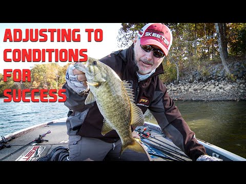 Finding Bass During the Summer Fall Transition on Kentucky Lake!