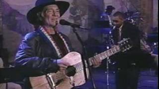 Willie Nelson / Moonlight Becomes You