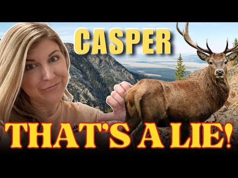 Casper Fact, Fiction, or Opinion