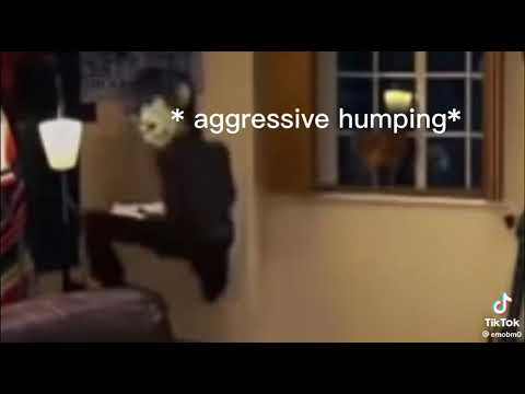 Where the bloody hell have you been?!