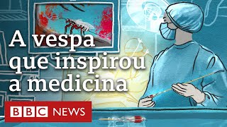 Miniatura do vídeo