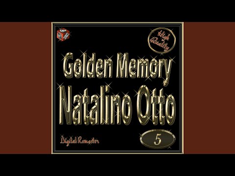 Op op trotta cavallino