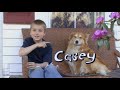 Martha Speaks Who S That Dog Casey