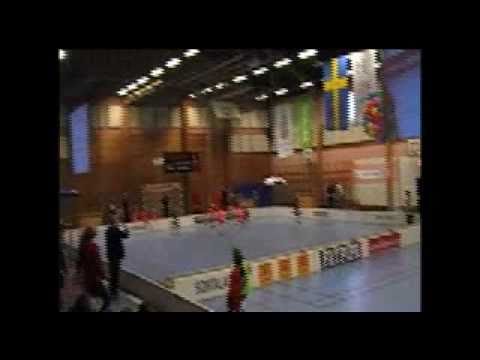 FBC Lerum Bagheera Avslutning 2010