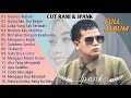New Album Ipank Ft Cut Rani Auliza Terpopuler Pop Melayu