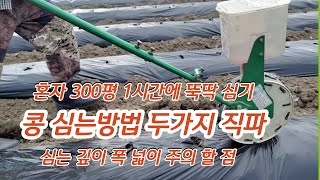 콩 심는 방법 심는기구 직파 심는 깊이 폭 넓이 주의 할 점