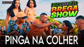 Pinga na Colher - Forrozão Brega Show (Áudio Visual) #BrasilMix