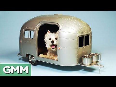 17 Extreme Pet Homes