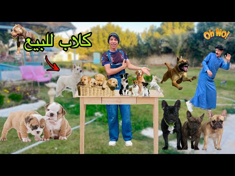 لما اخوك الصغير يجيب كلاب مفترسه ويبيع في الشارع 🐕😂| علاء حسين