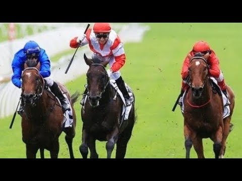2015 Australian Derby G1 - Mongolian Khan (蒙古大君) - O.Bosson