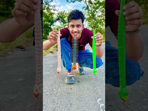 RC Snake Our RC Centipede