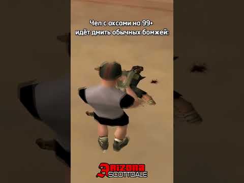 Без них нет смысла играть на Аризона рп