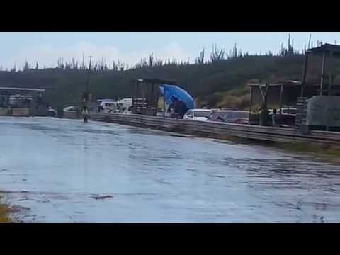 SUZUKI GSX-R1000 - Spanks Banks Fever Show (2014)