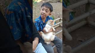 Download lagu Which cat is better? mp3 Download lagu Which cat is better? mp3