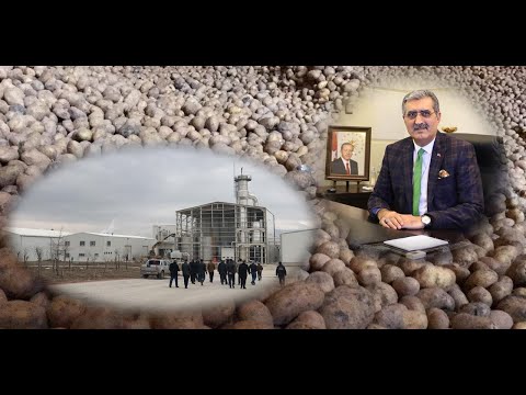 KONYA, PATATESİN DE ÜRETİM MERKEZİ OLDU