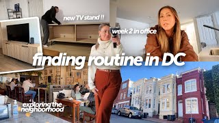 my second week in DC: finding a routine, new TV stand, work events, settling in after the move