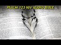 PSALM 123 NIV AUDIO BIBLE (with text)