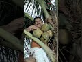 Ripinnocent Innocentcomedyscenes Rip DoctorInnocentanu Jagathy Suraj Malayalamcomedy