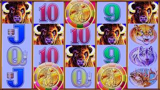 I PUT IN A FRESH $100... THEN THIS HAPPENED!